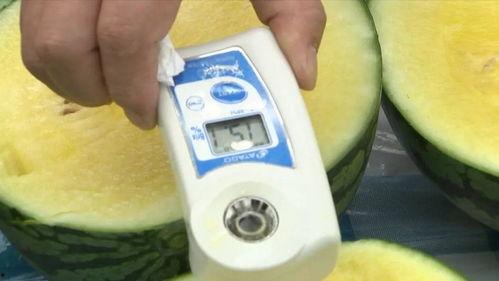 上海确诊 吃瓜,吃瓜群众热议疫情动态  第2张